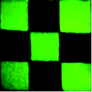 Graphical abstract: Linearly polarised organic light-emitting diodes (OLEDs): synthesis and characterisation of a novel hole-transporting photoalignment copolymer