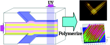 Graphical abstract: Hydrodynamic fabrication of polymeric barcoded strips as components for parallel bio-analysis and programmable microactuation