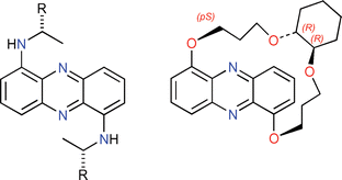 Graphical abstract: Synthesis of phenazine derivatives for use as precursors to electrochemically generated bases