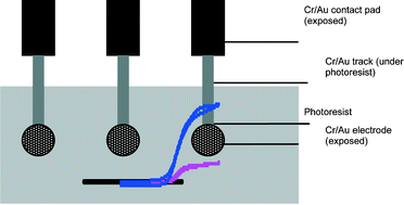 Graphical abstract: Individually addressable recessed gold microelectrode arrays with monolayers of thio-cyclodextrin nanocavities
