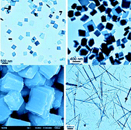 Graphical abstract: Controlled synthesis of europium-doped lutetium compounds: nanoflakes, nanoquadrels, and nanorods