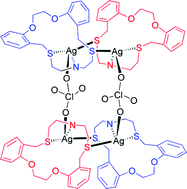 Graphical abstract: Donor effect on supramolecular structures of silver(i) perchlorate complexes of macrocycles with O2S2X (X [[double bond, length as m-dash]] S, O and NH) donor sets