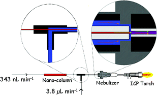 Graphical abstract: Interfacing reversed-phase nanoHPLC with ICP-MS and on-line isotope dilution analysis for the accurate quantification of selenium-containing peptides in protein tryptic digests