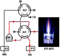 Graphical abstract: On-line slurry formation and nebulization for inductively coupled plasma atomic emission spectrometry. Multi-element analysis of cocoa and coffee powder samples