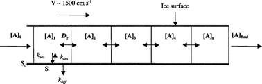 Graphical abstract: A kinetic model for uptake of HNO3 and HCl on ice in a coated wall flow system