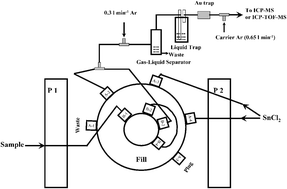 Graphical abstract: Ultra-trace determination of mercury in water by cold-vapor generation isotope dilution mass spectrometry