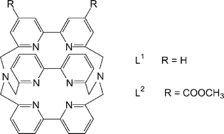 Graphical abstract: Positively charged GdIII cryptates: slow, associative water exchange