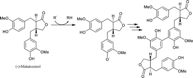 Graphical abstract: Chemical studies on antioxidant mechanisms and free radical scavenging properties of lignans