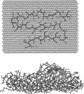 Graphical abstract: Computer simulation of polypeptide adsorption on model biomaterials