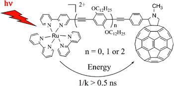 Graphical abstract: Distance-independent photoinduced energy transfer over 1.1 to 2.3 nm in ruthenium trisbipyridine–fullerene assemblies