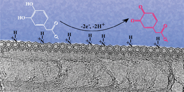Graphical abstract: Electrochemical oxidation of catecholamines and catechols at carbon nanotube electrodes