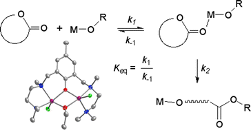 Graphical abstract: Comparison of structurally analogous Zn2, Co2, and Mg2 catalysts for the polymerization of cyclic esters