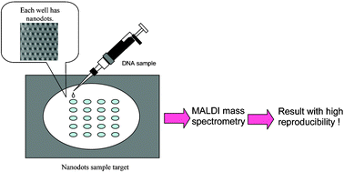 Graphical abstract: Improved method of the MALDI-TOF analysis of DNA with nanodot sample target plate