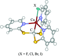 Graphical abstract: A complete series of copper(ii) halide complexes (X = F, Cl, Br, I) with a novel Cu(ii)–C(sp3) bond