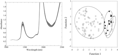 Graphical abstract: Determination of total nitrogen content, pH, density, refractive index, and brix in Thai fish sauces and their classification by near-infrared spectroscopy with searching combination moving window partial least squares