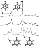 Graphical abstract: Multiple isomers of uracil–water complexes: infrared spectroscopy in helium nanodroplets