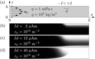 Graphical abstract: Microfluidic capturing-dynamics of paramagnetic bead suspensions