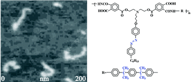 Graphical abstract: Molecular weight determination of an azobenzene-derivatized poly(amic acid) by AFM