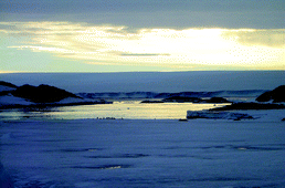 Graphical abstract: Formaldehyde determination in seawater. Preliminary application to coastal samples at Terra Nova Bay (Antarctica)