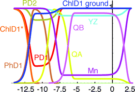 Graphical abstract: Tunneling in PSII