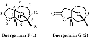 Graphical abstract: Total synthesis of buergerinin F via effective construction of the asymmetric quaternary carbons using an enantioselective aldol reaction