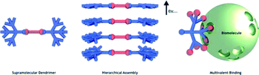 Graphical abstract: Dendritic supermolecules – towards controllable nanomaterials