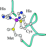 Graphical abstract: Ligand and loop variations at type 1 copper sites: influence on structure and reactivity