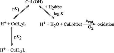 Graphical abstract: Solution chemical properties and catecholase-like activity of the copper(ii)–Ac-His-His-Gly-His-OH system, a relevant functional model for copper containing oxidases