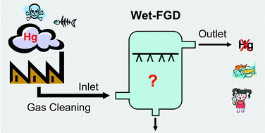 Graphical abstract: Using Wet-FGD systems for mercury removal