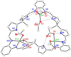 Graphical abstract: Metal-directed ring-expansion in Schiff-base polypyrrolic macrocycles