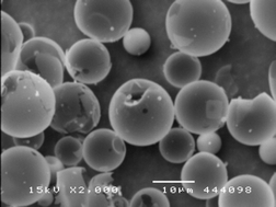 Graphical abstract: Synthesis of protein–silica hybrid hollow particles through the combination of protein catalysts and sonochemical treatment