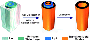 Graphical abstract: Chemical synthesis of transition metal oxide nanotubes in water using an iced lipid nanotube as a template