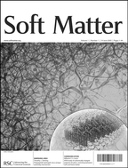 Graphical abstract: Crossing the boundaries with Soft Matter