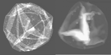 Graphical abstract: Influence of different salts on micro-sized polyelectrolyte hollow capsules