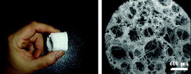 Graphical abstract: Shaping zirconium phosphate α-Zr(HPO4)2·H2O: from exfoliation to first α-ZrP 3D open-cell macrocellular foams