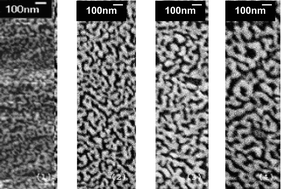 Graphical abstract: The zwitterion effect in proton exchange membranes as synthesised by polymerisation of bicontinuous microemulsions