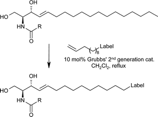 Graphical abstract: One-step labelling of sphingolipids via a scrambling cross-metathesis reaction
