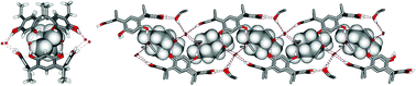 Graphical abstract: C-Methyl resorcin[4]arene packing motifs with alkyl ammonium salts: From molecular capsules to channels and tubes