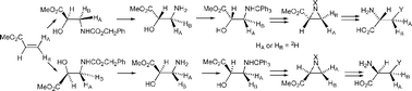 Graphical abstract: A short, versatile chemical synthesis of l- and d-amino acids stereoselectively labelled solely in the beta position