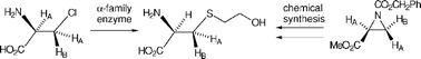 Graphical abstract: Stereochemistry of reactions of the inhibitor/substrates l- and d-β-chloroalanine with β-mercaptoethanol catalysed by l-aspartate aminotransferase and d-amino acid aminotransferase respectively