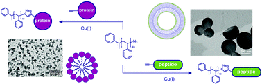 Graphical abstract: Preparation of biohybrid amphiphiles via the copper catalysed Huisgen [3 + 2] dipolar cycloaddition reaction