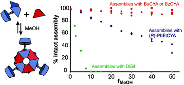 Graphical abstract: Self-assembly and stability of double rosette nanostructures with biological functionalities