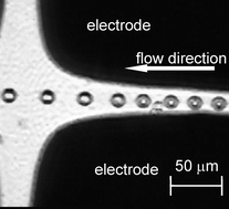 Graphical abstract: Measurement of dielectrophoretic mobility of single micro-particles in a flow channel
