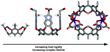 Graphical abstract: Structure and binding properties of water-soluble cavitands and capsules