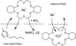 Graphical abstract: A ternary mechanism for the facilitated transfer of metal ions into room-temperature ionic liquids (RTILs): implications for the “greenness” of RTILs as extraction solvents