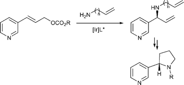 Graphical abstract: Enantioselective synthesis of (+)(R)- and (−)(S)-nicotine based on Ir-catalysed allylic amination