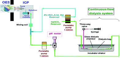 Graphical abstract: A continuous-flow dialysis system with inductively coupled plasma optical emission spectrometry for in vitro estimation of bioavailability