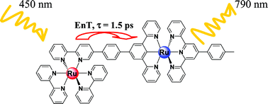 Graphical abstract: Rapid energy transfer in bichromophoric tris-bipyridyl/cyclometallated ruthenium(ii) complexes