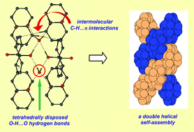 Graphical abstract: Double helical self-assembly in a C2h symmetric diol monohydrate: A study of the cooperativity between O–H⋯O and C–H⋯π interactions