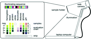 Graphical abstract: Measurement strategy and instrumental performance of a computer screen photo-assisted technique for the evaluation of a multi-parameter colorimetric test strip